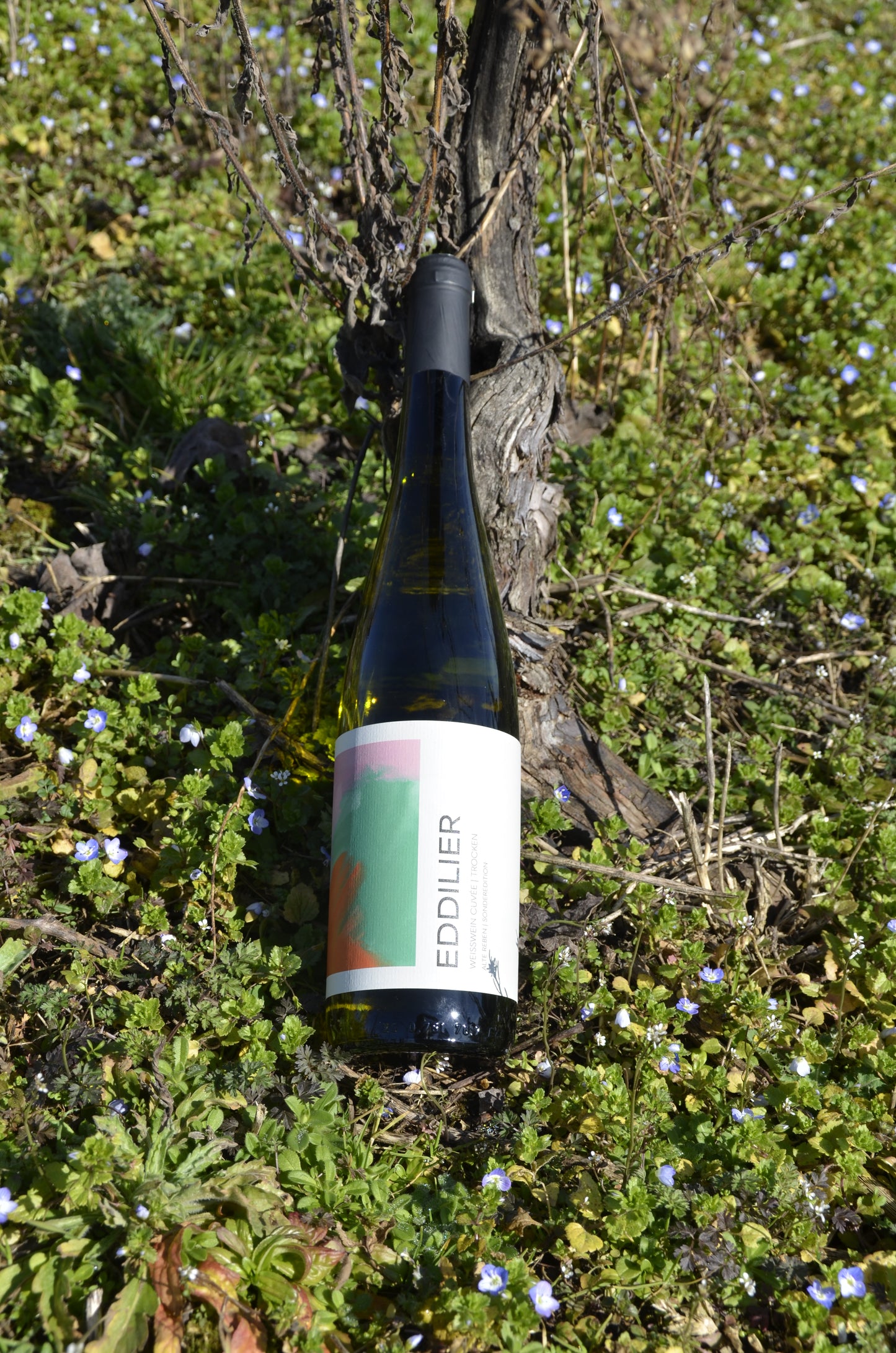 WEISSWEIN CUVÉE TROCKEN 2023