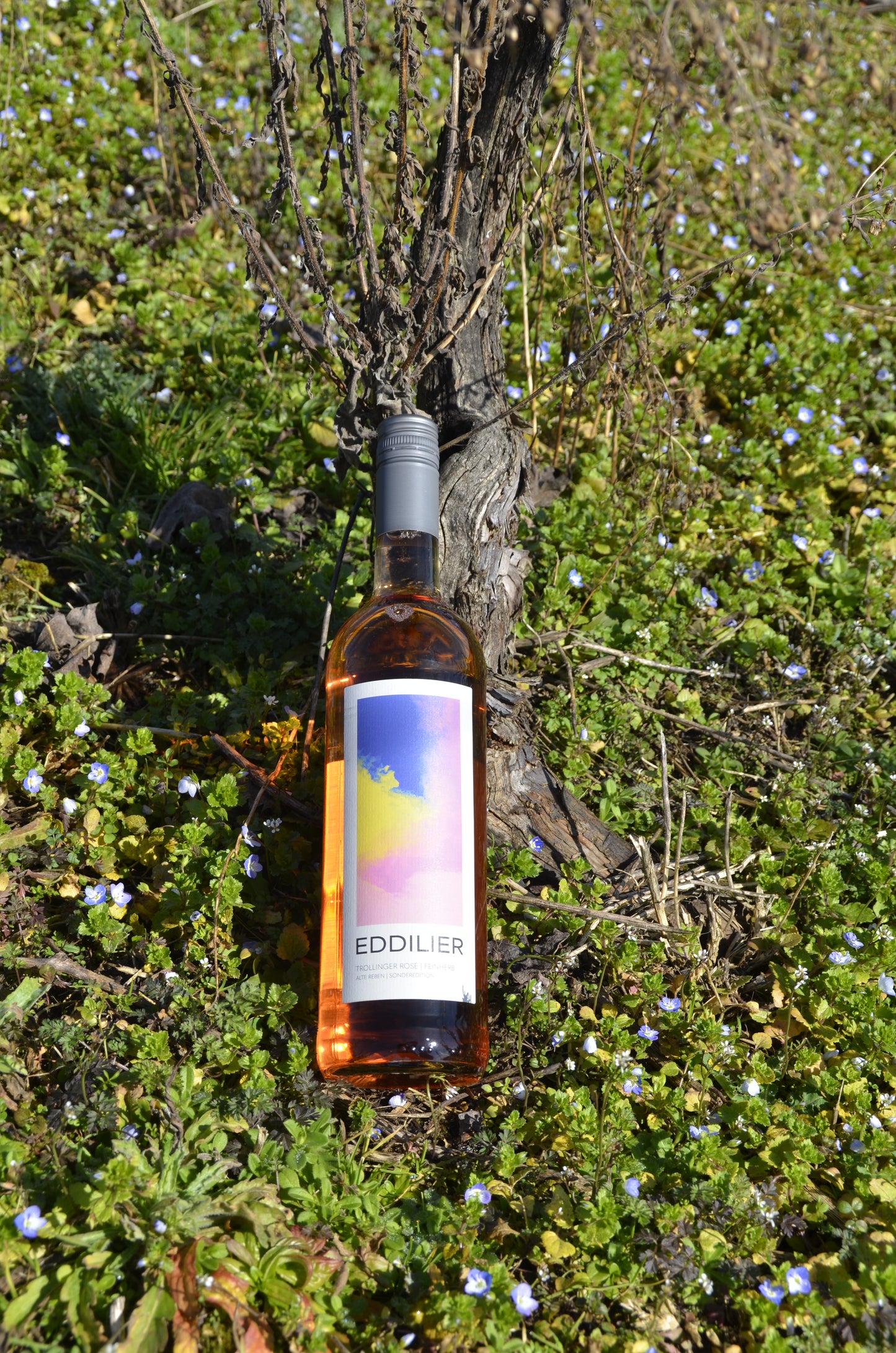 TROLLINGER ROSÉ FEINHERB 2024