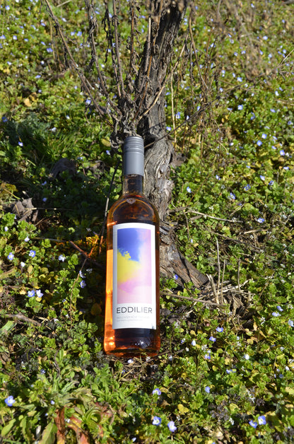 TROLLINGER ROSÉ FEINHERB 2024